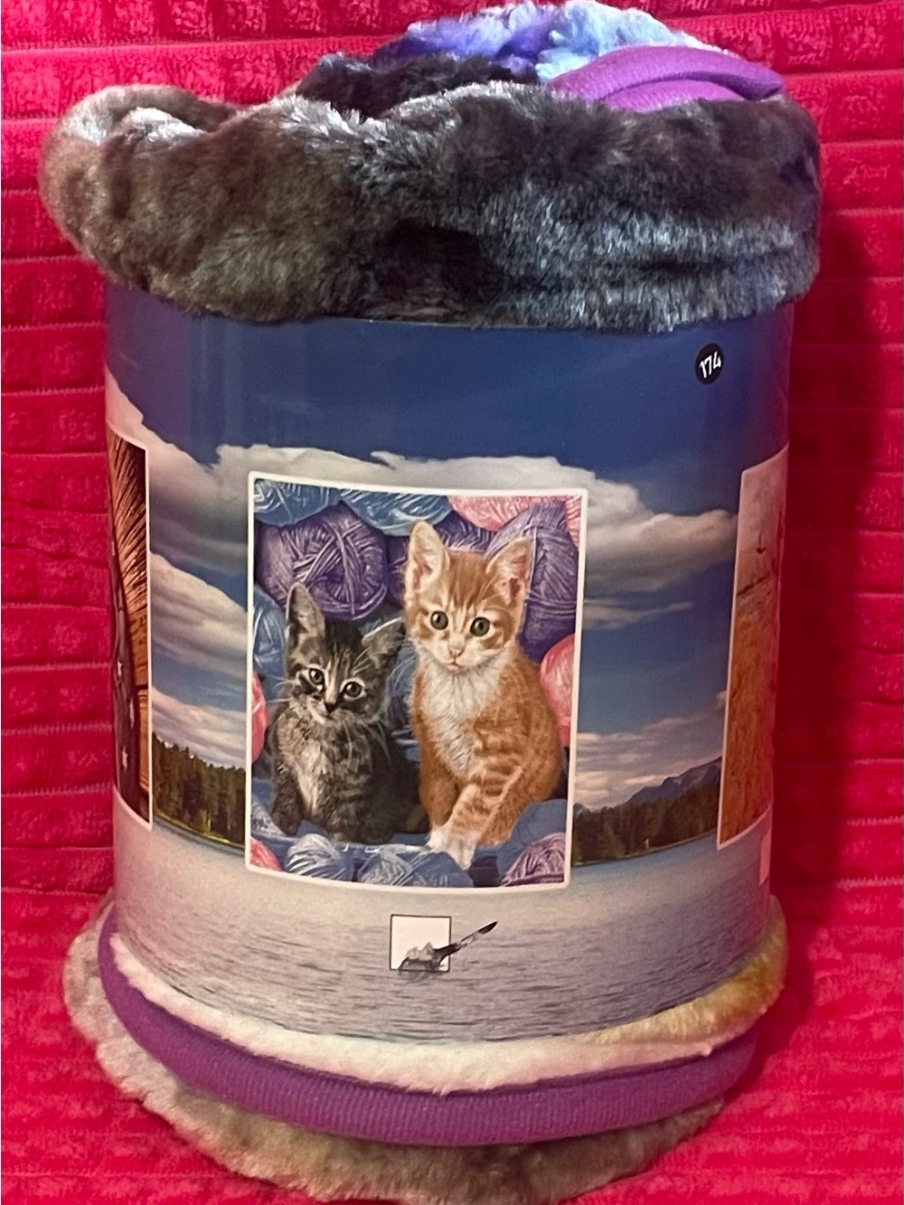 American Blanket Super Soft Raschel Throw Blanket Kitten Print